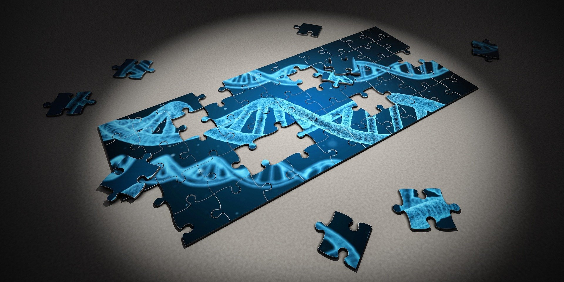 Cell Line Engineering